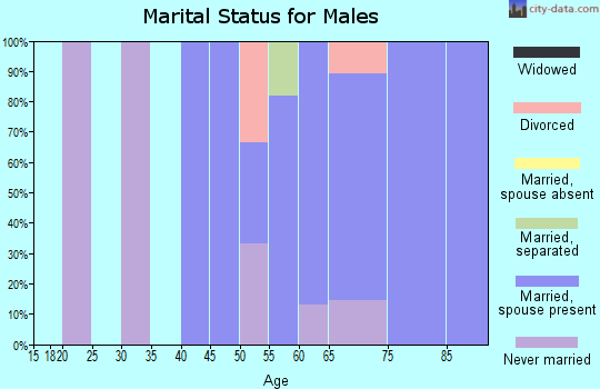 Zip code 81155 marital status for males