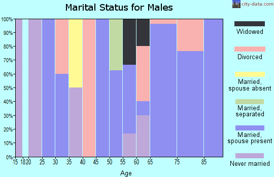 Zip code 81221 marital status for males