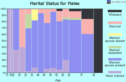Zip code 81240 marital status for males