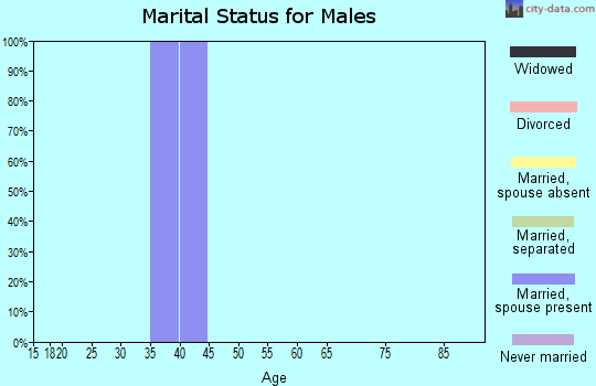 Zip code 81248 marital status for males