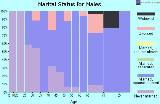 Zip code 81324 marital status for males