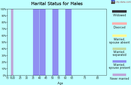 Zip code 81325 marital status for males