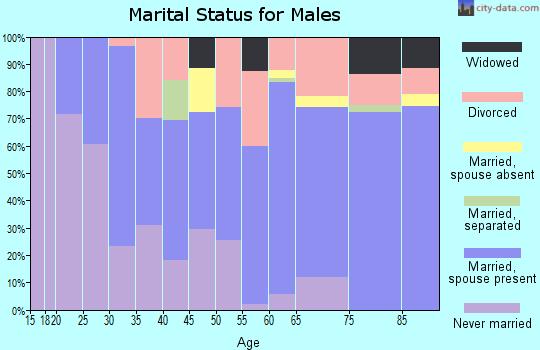 Zip code 81328 marital status for males