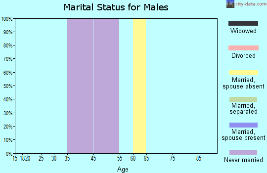 Zip code 81330 marital status for males