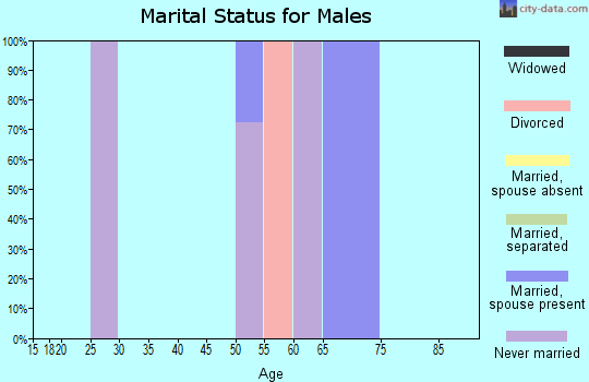 Zip code 81331 marital status for males