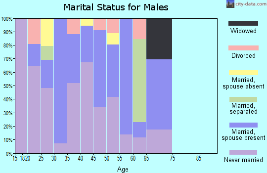 Zip code 81334 marital status for males
