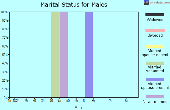 Zip code 81335 marital status for males