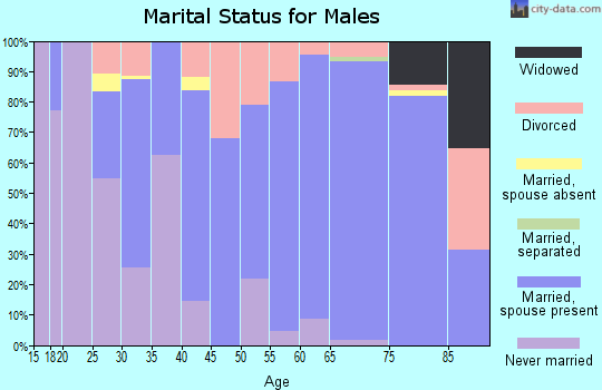 Zip code 81413 marital status for males