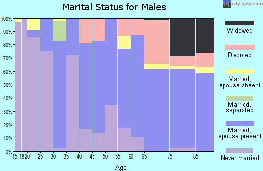 Zip code 81428 marital status for males