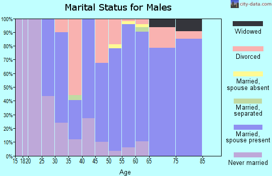 Zip code 81432 marital status for males