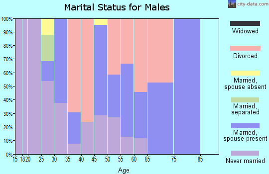 Zip code 81433 marital status for males