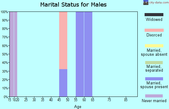 Zip code 81434 marital status for males