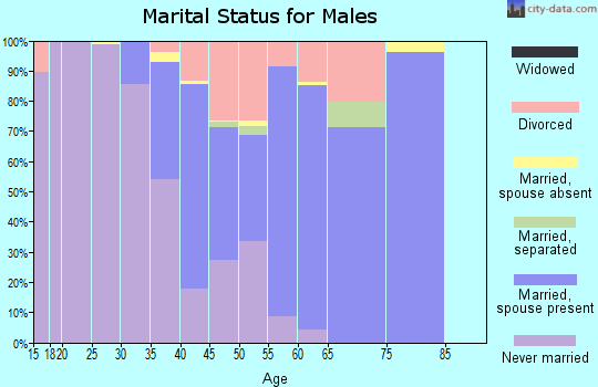 Zip code 81435 marital status for males