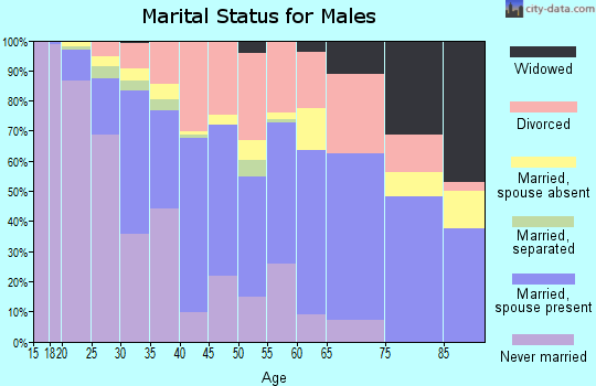Zip code 81501 marital status for males
