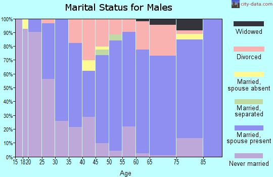 Zip code 81503 marital status for males