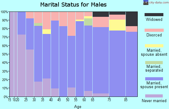 Zip code 81505 marital status for males