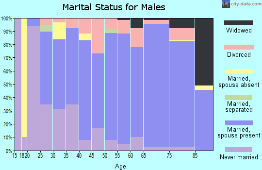 Zip code 81506 marital status for males