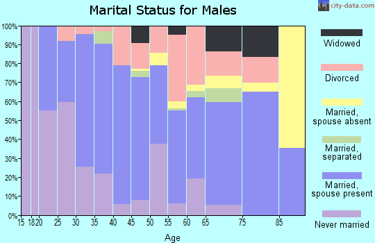 Zip code 81520 marital status for males