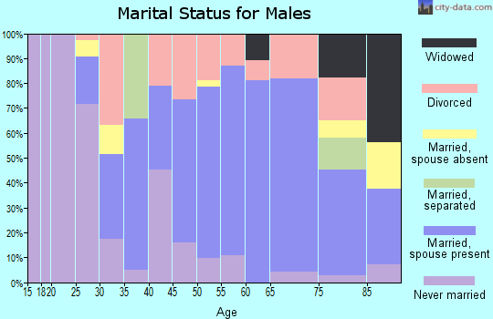 Zip code 81526 marital status for males
