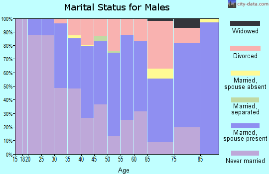 Zip code 81611 marital status for males