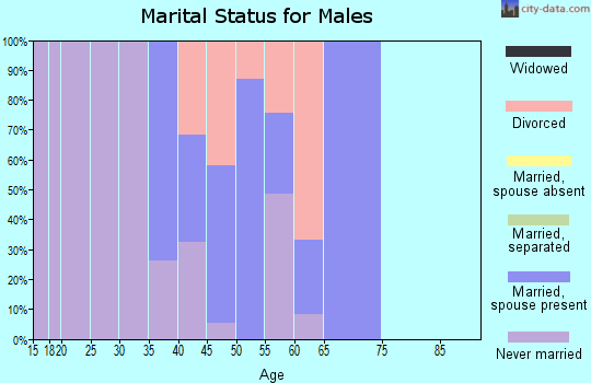 Zip code 81615 marital status for males