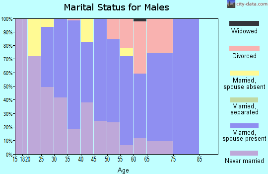 Zip code 81621 marital status for males
