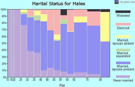 Zip code 81623 marital status for males