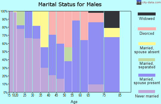 Zip code 81624 marital status for males