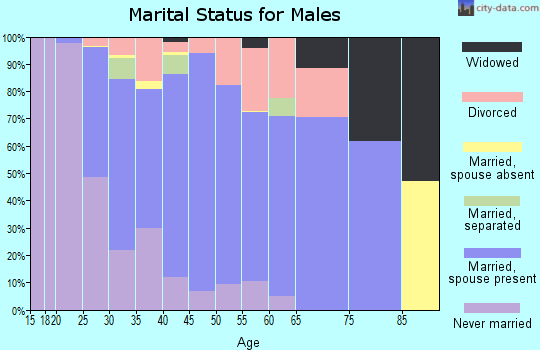 Zip code 81625 marital status for males