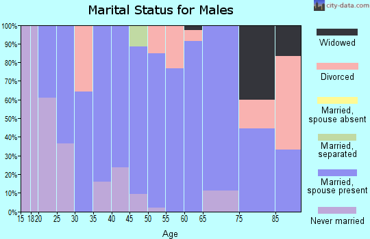 Zip code 81630 marital status for males
