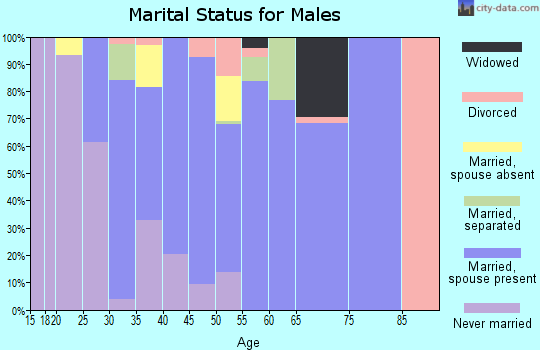 Zip code 81631 marital status for males