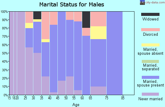 Zip code 81632 marital status for males