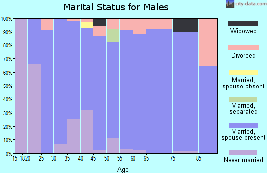 Zip code 81635 marital status for males