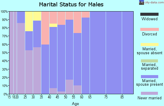 Zip code 81637 marital status for males