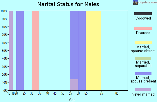 Zip code 81638 marital status for males
