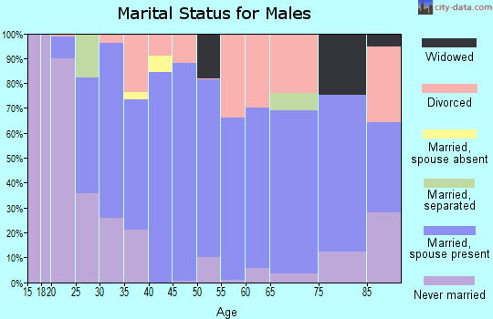 Zip code 81641 marital status for males