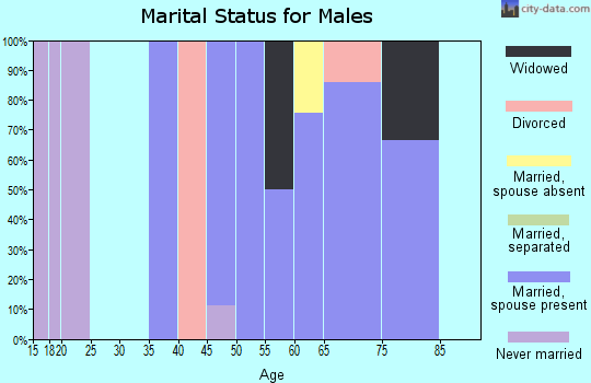 Zip code 81643 marital status for males