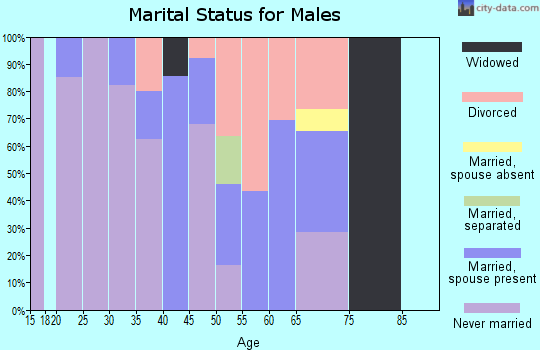 Zip code 81645 marital status for males