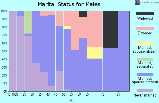 Zip code 81647 marital status for males