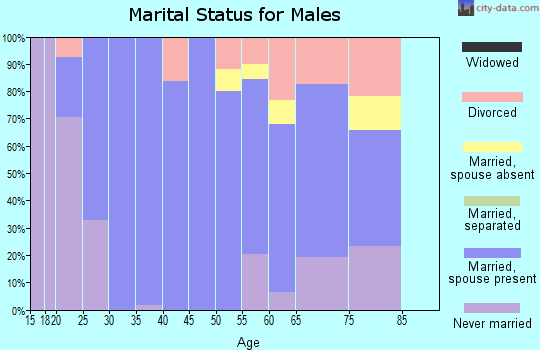 Zip code 81648 marital status for males