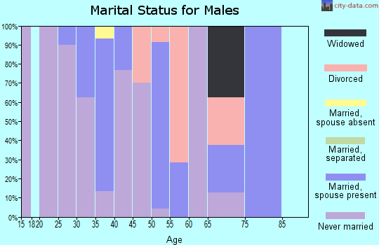Zip code 81649 marital status for males
