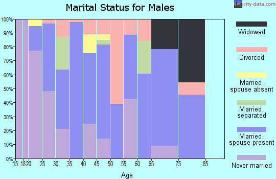 Zip code 81652 marital status for males