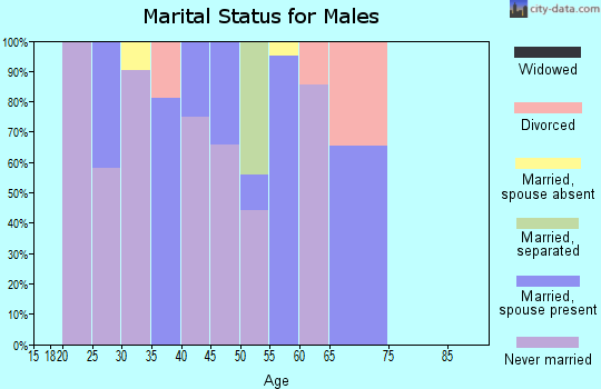 Zip code 81654 marital status for males