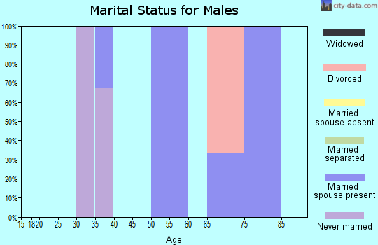 Zip code 81656 marital status for males