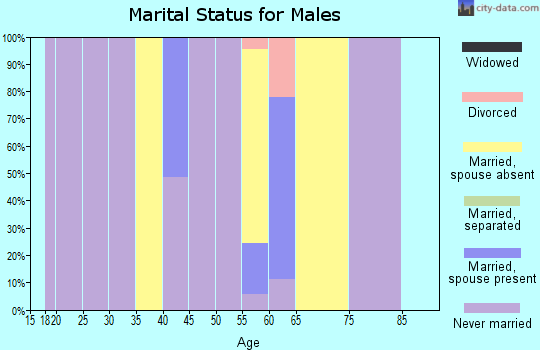 Zip code 82190 marital status for males
