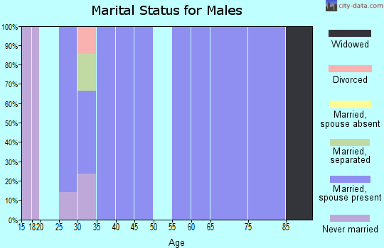 Zip code 82324 marital status for males
