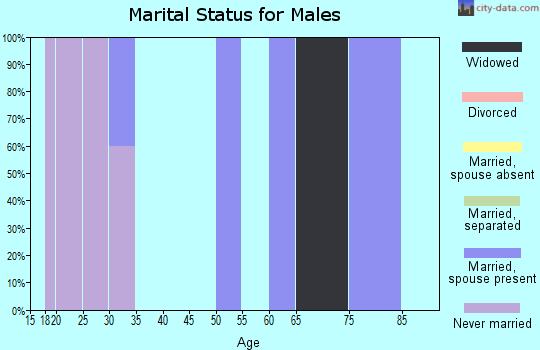 Zip code 82441 marital status for males