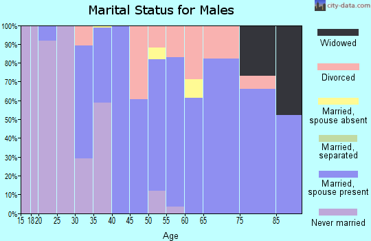 Zip code 82513 marital status for males