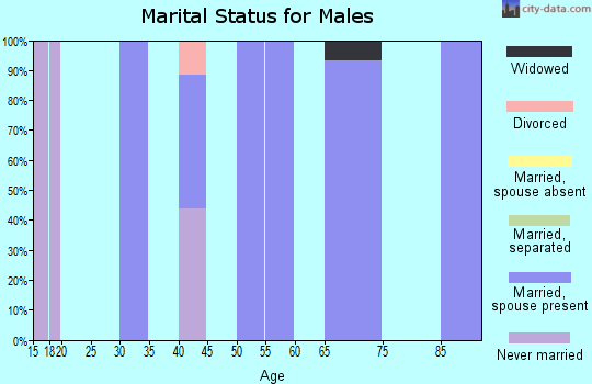 Zip code 82842 marital status for males