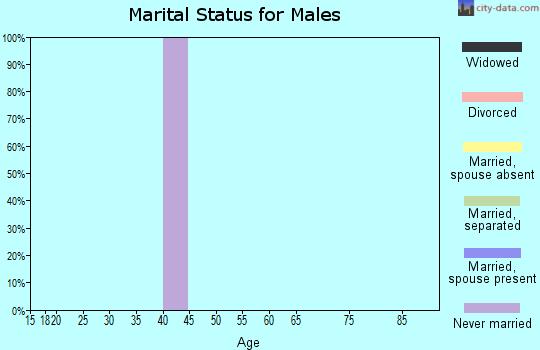Zip code 82929 marital status for males